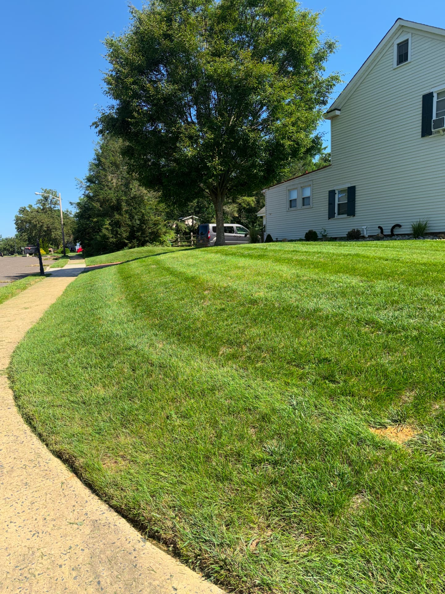 Curb-side lawn with neat edges along the sidewalk
