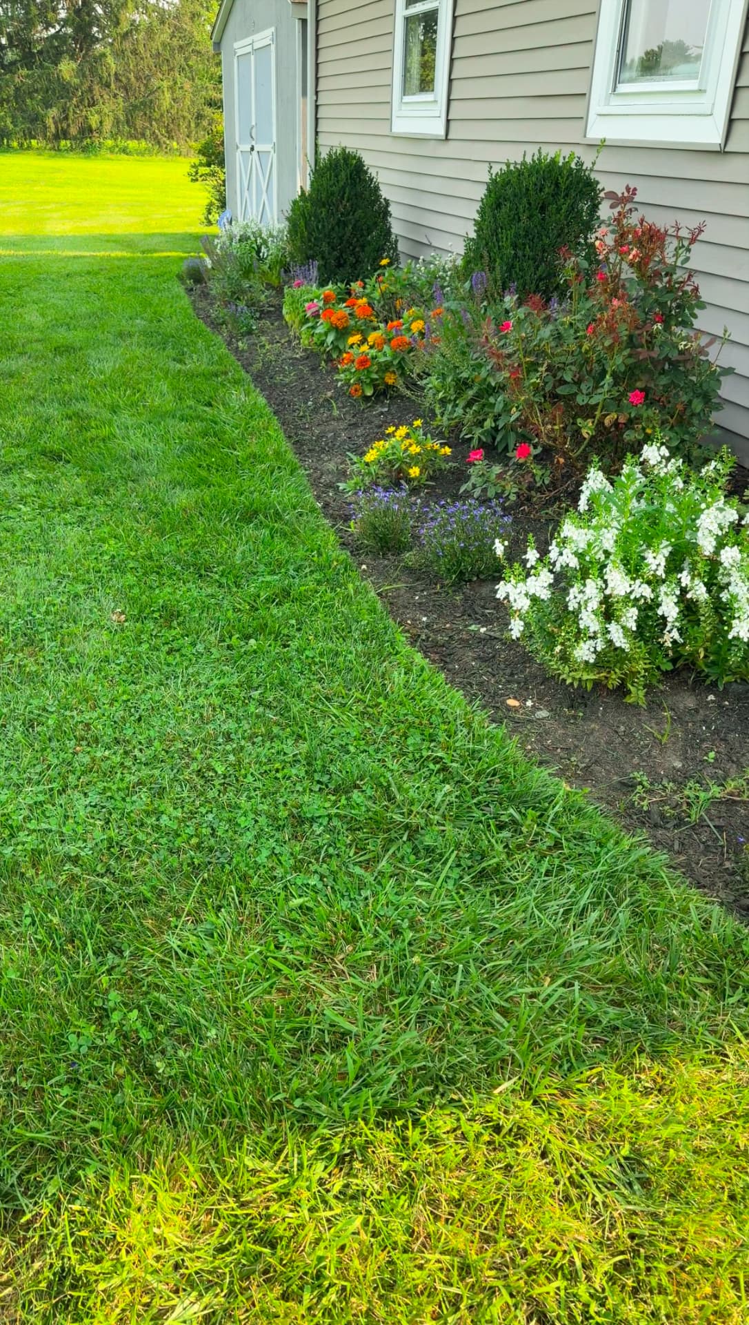 Colorful flower bed with fresh mulch along a home